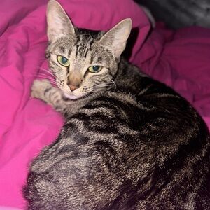 Meet your Posher, Natalie